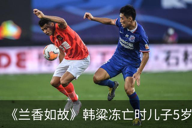 《兰香如故》韩粱冻亡时儿子5岁，林锦岐病亡时儿子13岁，袁绍辉至死无子。后代都没成长起来，但三家都没有没落，林家反倒更上一层楼