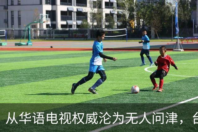 从华语电视权威沦为无人问津，台湾金钟奖，只剩仔仔和深V撑场面