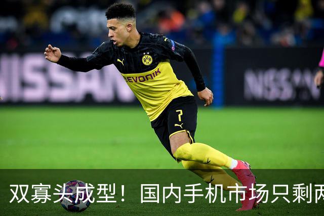 双寡头成型！国内手机市场只剩两大玩家博弈