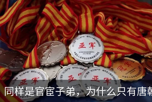 同样是官宦子弟，为什么只有唐朝的官宦子弟很上进呢？
