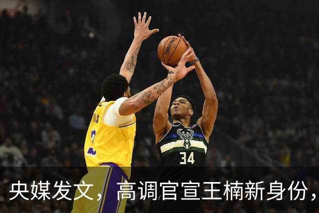 央媒发文，高调官宣王楠新身份，资产查封被带走调查传闻早有真相