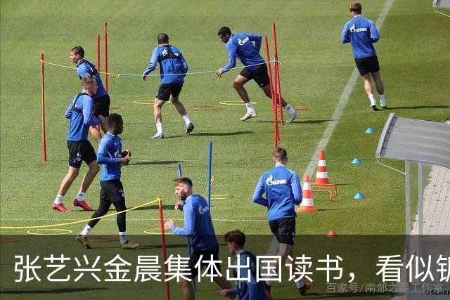 张艺兴金晨集体出国读书，看似镀金深造，其实就是没活干了