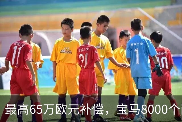 最高65万欧元补偿，宝马8000个岗位被员工抢着走