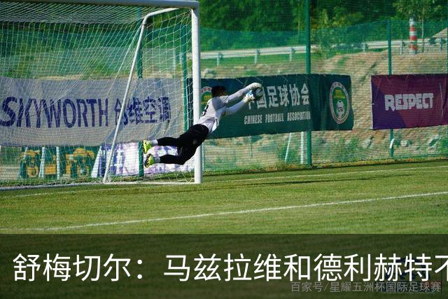 舒梅切尔：马兹拉维和德利赫特不合格，整支球队都没了血性