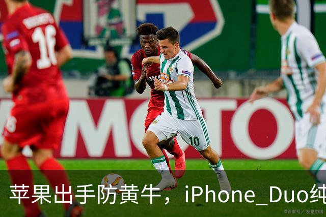 苹果出手防黄牛，iPhone Duo纯eSIM 劝退主力机用户