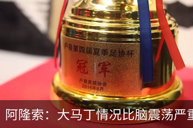 阿隆索：大马丁情况比脑震荡严重，我们完成十场零封才会很关键