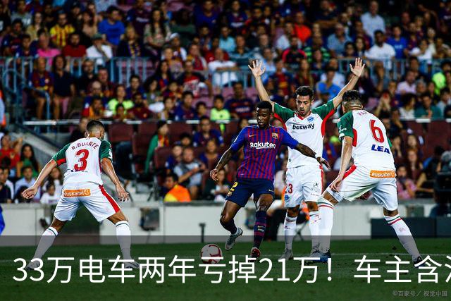 33万电车两年亏掉21万！车主含泪自述：我买的不是车，是电动爹