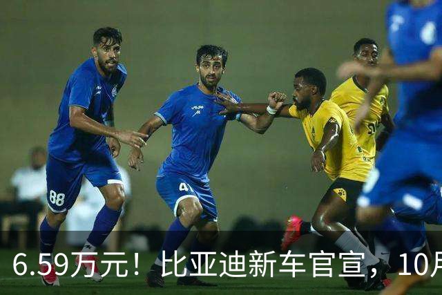 6.59万元！比亚迪新车官宣，10月21日开售